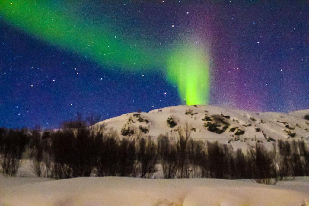 MelisHome: Aurora Observatory room 5